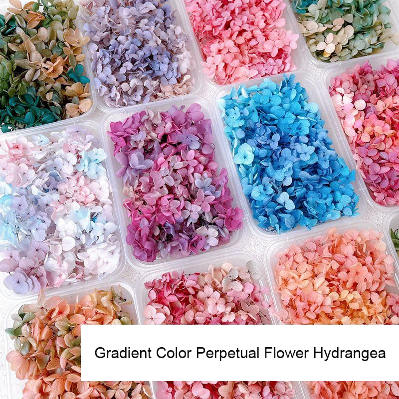 Decoração de unhas de flores s - Dried Flower Bulk avaliação e preço