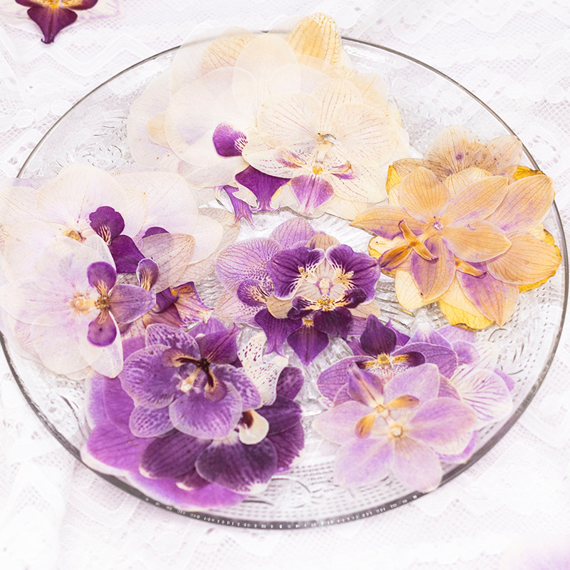 4 Peças de Flores Secas Prensa - Dried Flower Bulk avaliação e preço