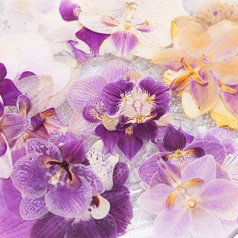4 Peças de Flores Secas Prensa - Dried Flower Bulk avaliação e preço