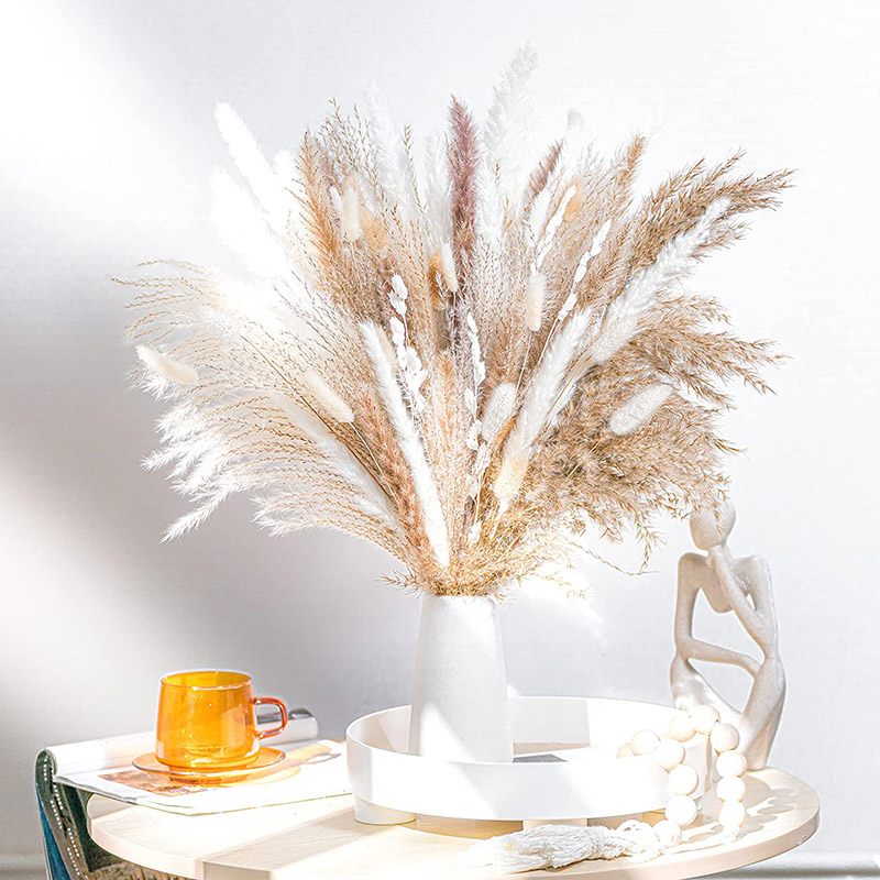 60-100 pçs natural secas pampa - Dried Flower Bulk avaliação e preço