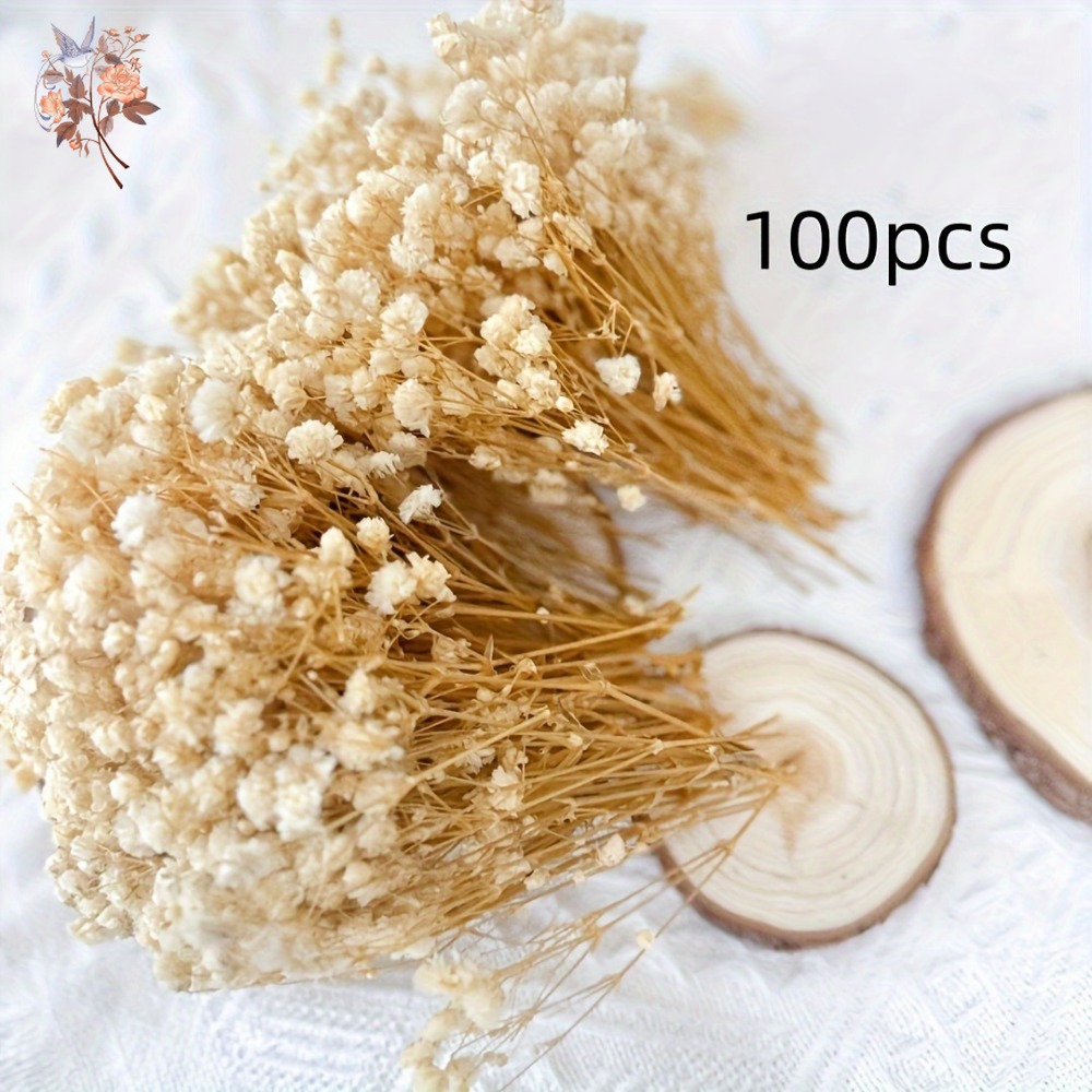 100 Peças de Flores Secas Mini - Dried Flower Bulk avaliação e preço