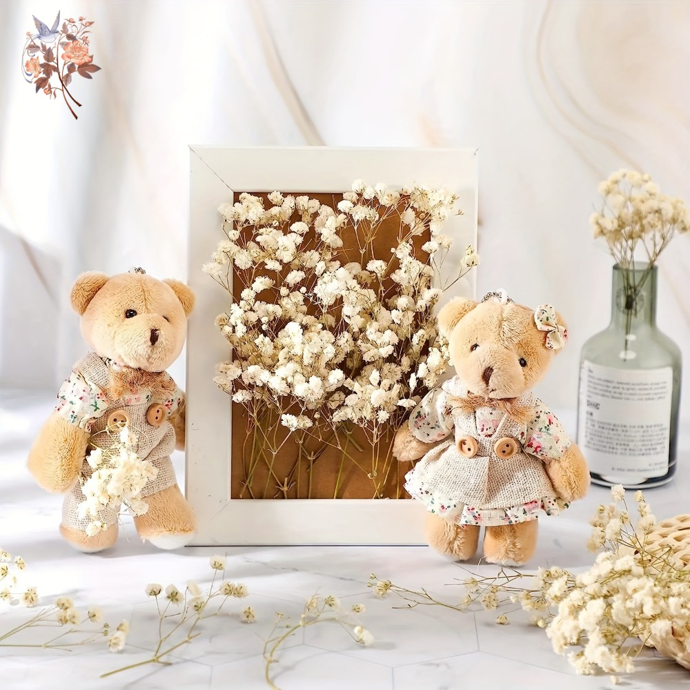 100 Peças de Flores Secas Mini - Dried Flower Bulk avaliação e preço