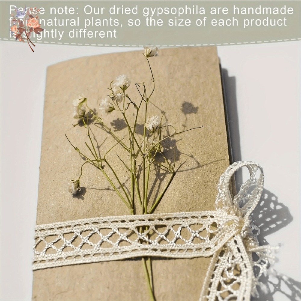 100 Peças de Flores Secas Mini - Dried Flower Bulk avaliação e preço
